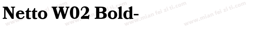 Netto W02 Bold字体转换